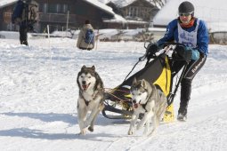 Lenk 2012 SM